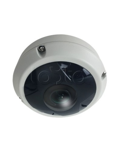 IP-камера видеонаблюдения купольная EverFocus ACE-KU89F в Братске IP-камеры Pintop.ru